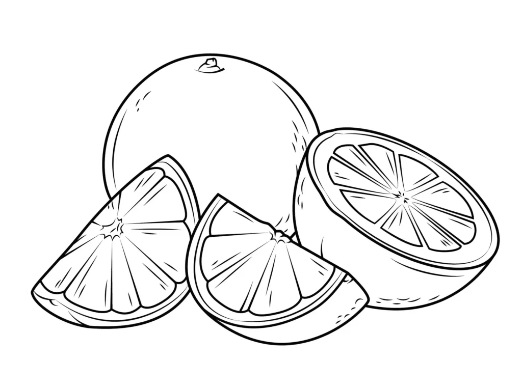 Laranjas para colorir: desenho de laranja inteira e fatias