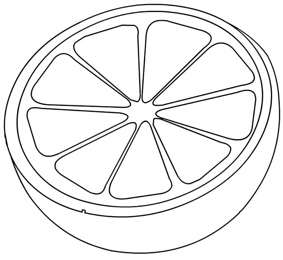 Desenho de laranja para colorir: Metade da fruta com gomos em destaque.