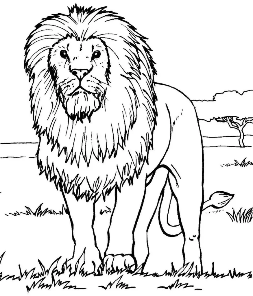 Leão com Juba Imponente em Desenho para Colorir: Atividade Divertida