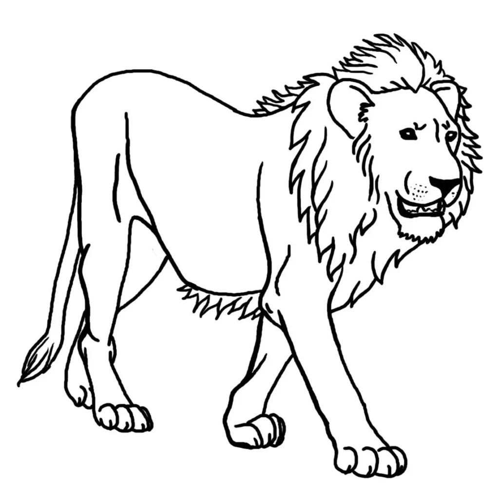 Leão Magro para Colorir: Desenho Detalhado de Leão Adulto com Juba Volumosa