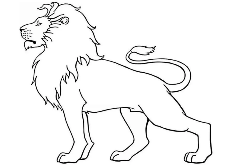 Leão Rei Leão para colorir: Desenho divertido de leão com juba imponente