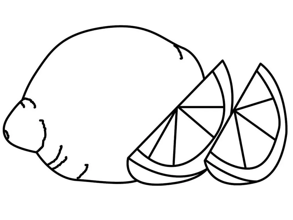 Limões para Colorir: Desenho de limão inteiro e fatias