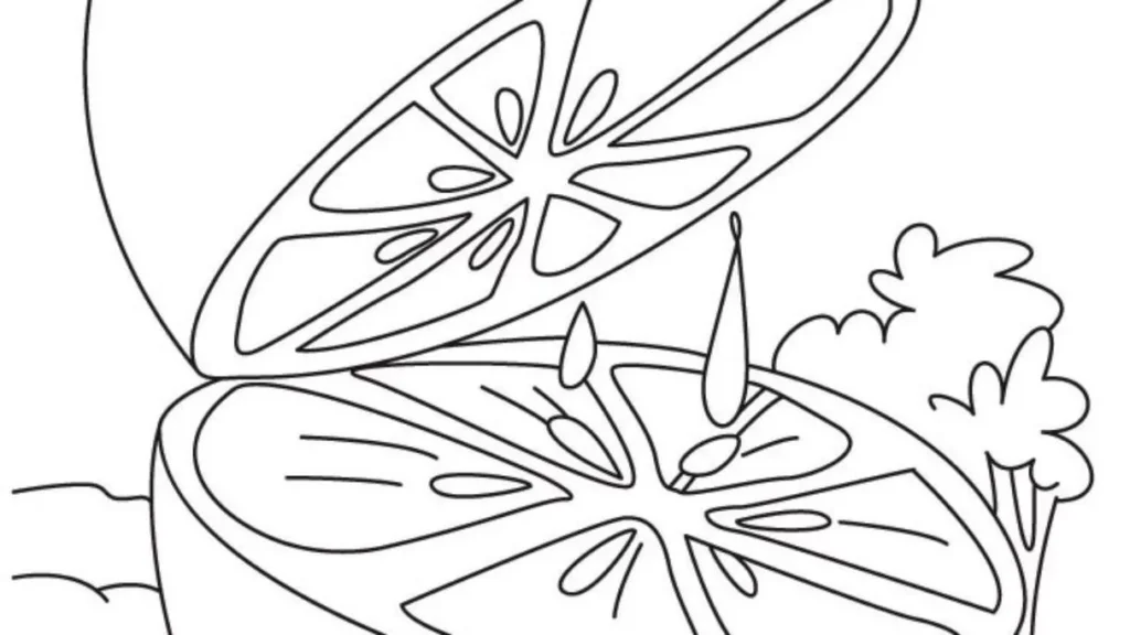 Limões para colorir: desenho de limão sendo espremido com gotas de suco
