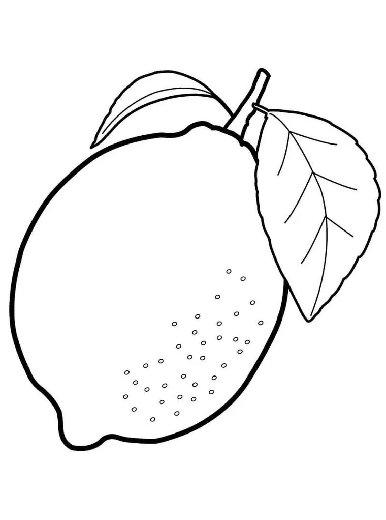 Limão com folhas e talo para colorir. Desenho detalhado de limão oval com marcas na casca e folhas com veias.