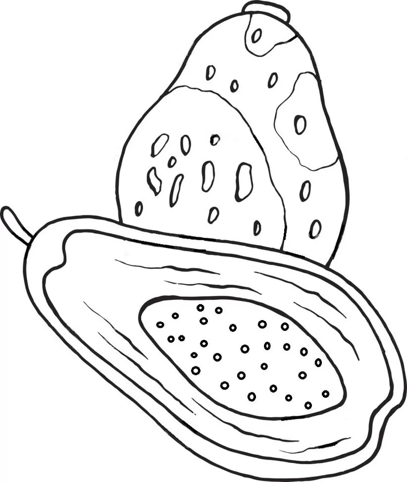 Desenhos de Mamões para imprimir e colorir Mamão papaia Desenho de mamões papaia para colorir: fruta inteira e metade com sementes