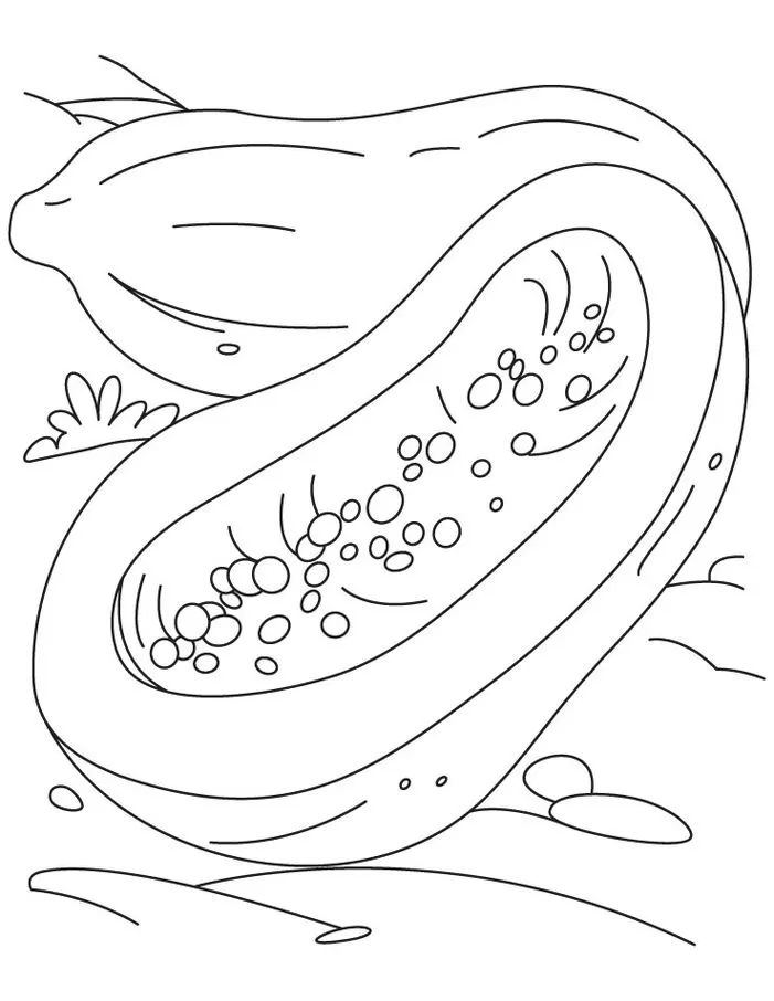 Desenhos de Mamões para imprimir e colorir Metade do mamão Mamão para Colorir: Desenho Artístico de Metade da Fruta com Sementes
