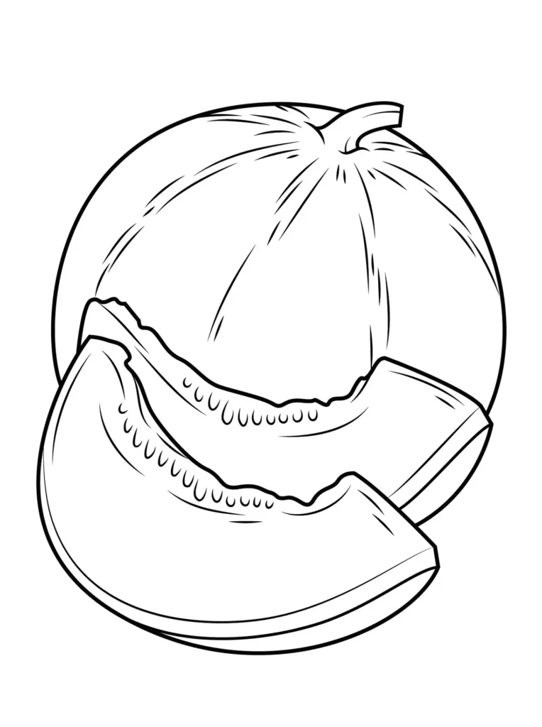Desenhos de Melões para imprimir e colorir Melão fatiado Melão fatiado: desenho para colorir com detalhes da fruta e sementes.