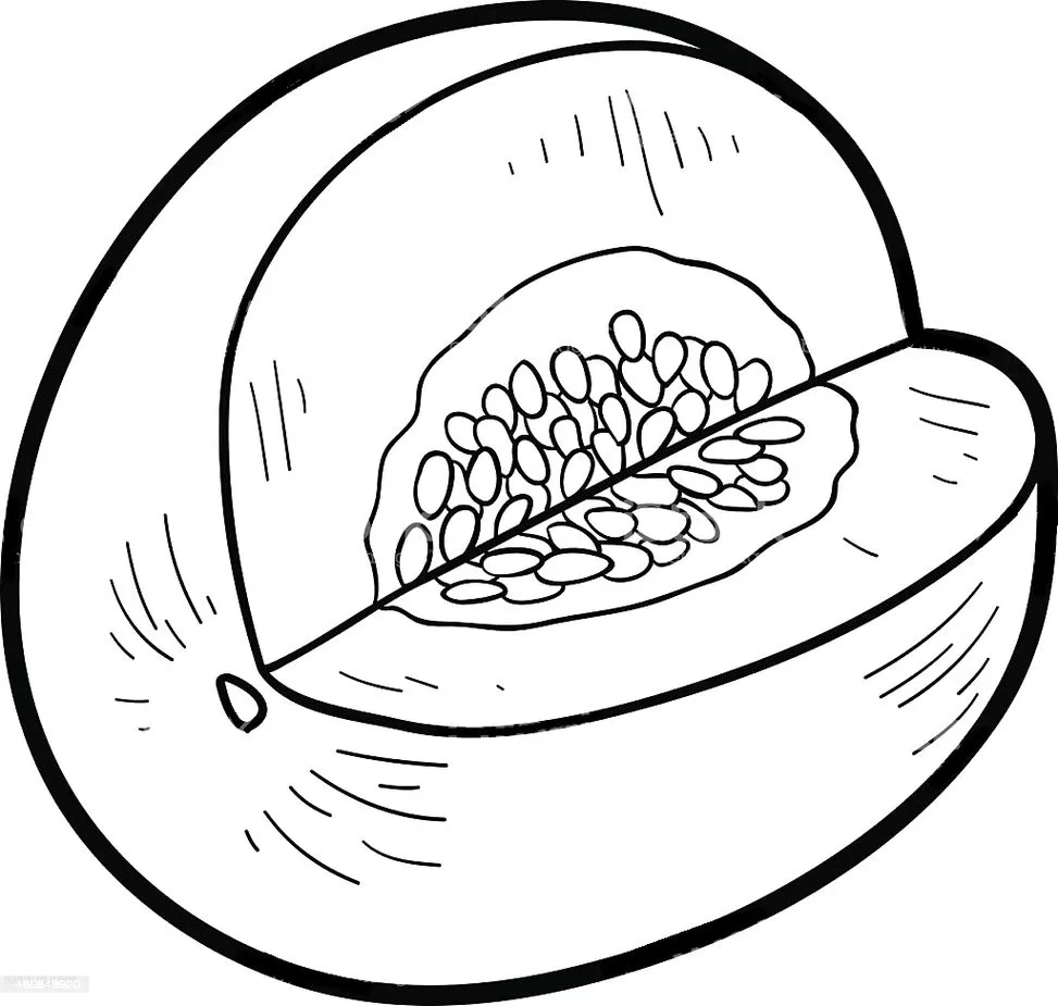 Desenhos de Melões para imprimir e colorir Melao partido Melão Melão Partido: Desenhos para Imprimir e Colorir