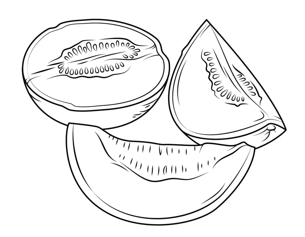 Desenhos de Melões para imprimir e colorir Melao pela metade Melões Melão Metade para Colorir e Imprimir