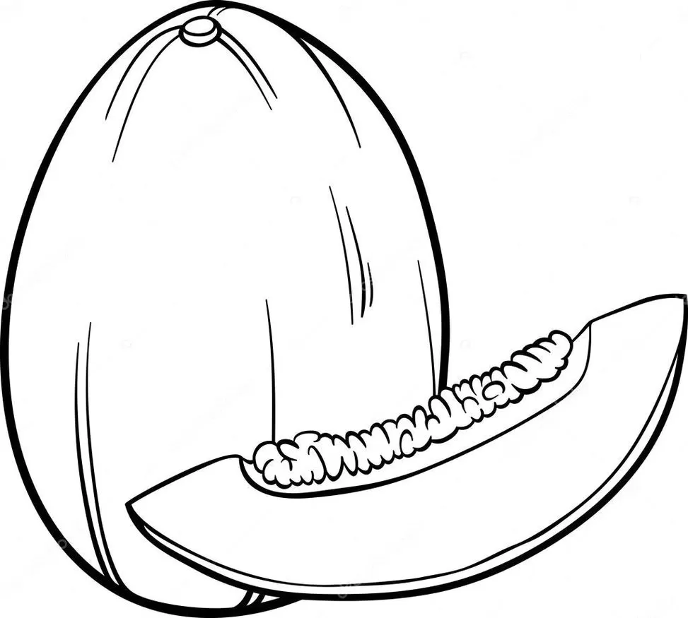 Desenhos de Melões para imprimir e colorir Sementes do melão Melão para colorir: desenho realista com sementes em detalhe