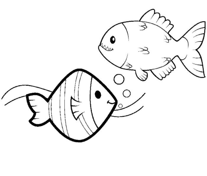 Peixes para Colorir: Desenho de peixe e piranha para atividade divertida.