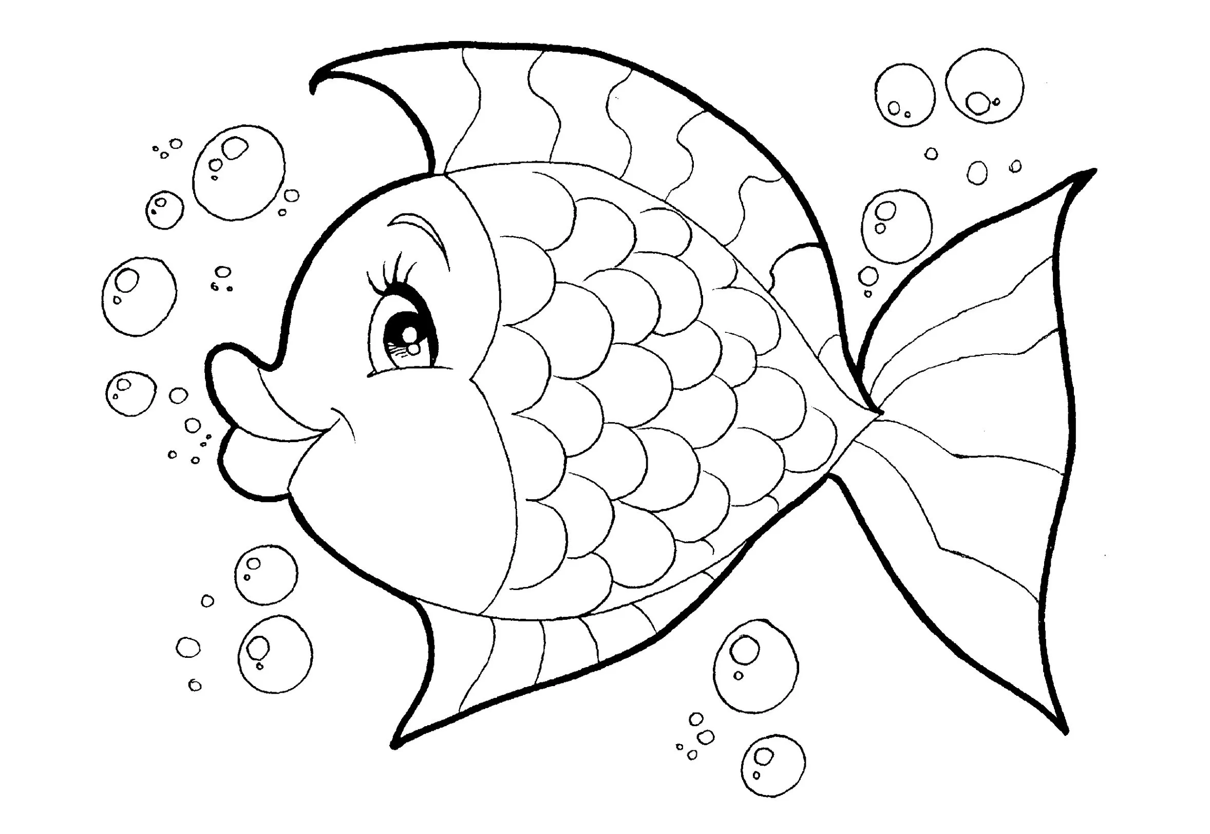 Peixes para colorir - Desenhos Imprimir