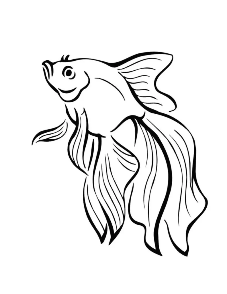 Desenho de peixe ornamental para colorir: corpo arredondado e nadadeiras fluidas