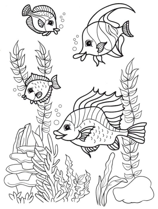 Desenhos de peixes marinhos para colorir: explore a vida aquática e divirta-se!