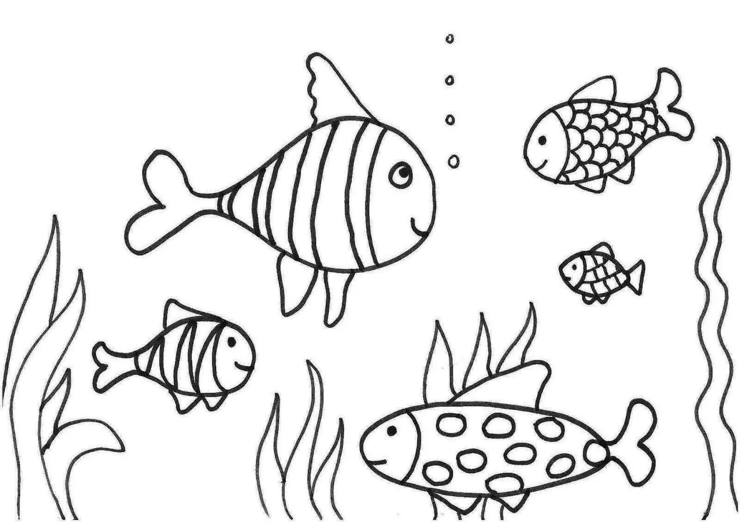 Vários peixinhos para pintar e imprimir