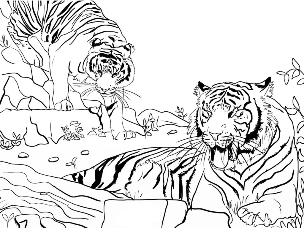 Tigres relaxando na natureza: desenhos para colorir e expressar a criatividade.