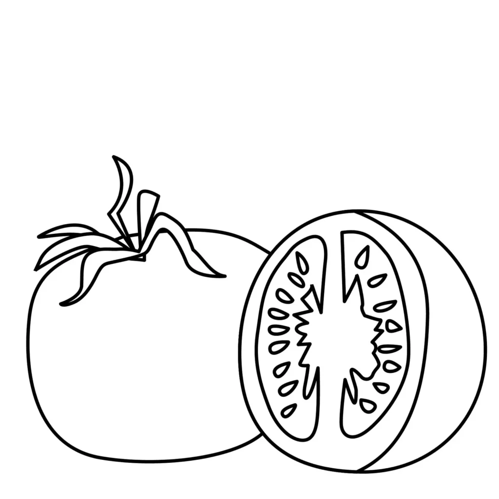 Desenho de tomate para colorir: tomate inteiro e tomate com sementes.