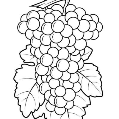 vas Desenhos para colorir