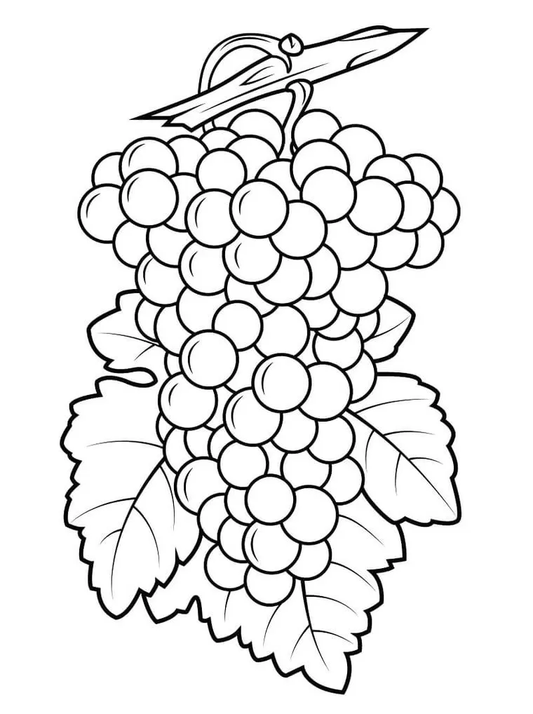 Cacho de Uva Detalhado para Colorir: Atividade Criativa com Desenho de Uvas e Folhas