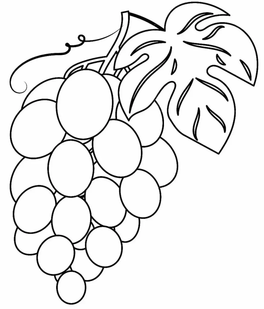 Desenho de cacho de uvas com folha para colorir. Atividade artística com uvas.