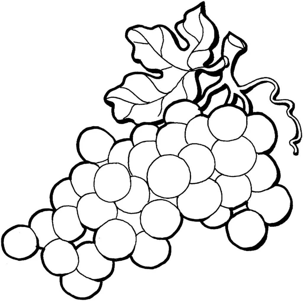 Cacho de Uvas para Colorir: Desenho Detalhado com Folhas