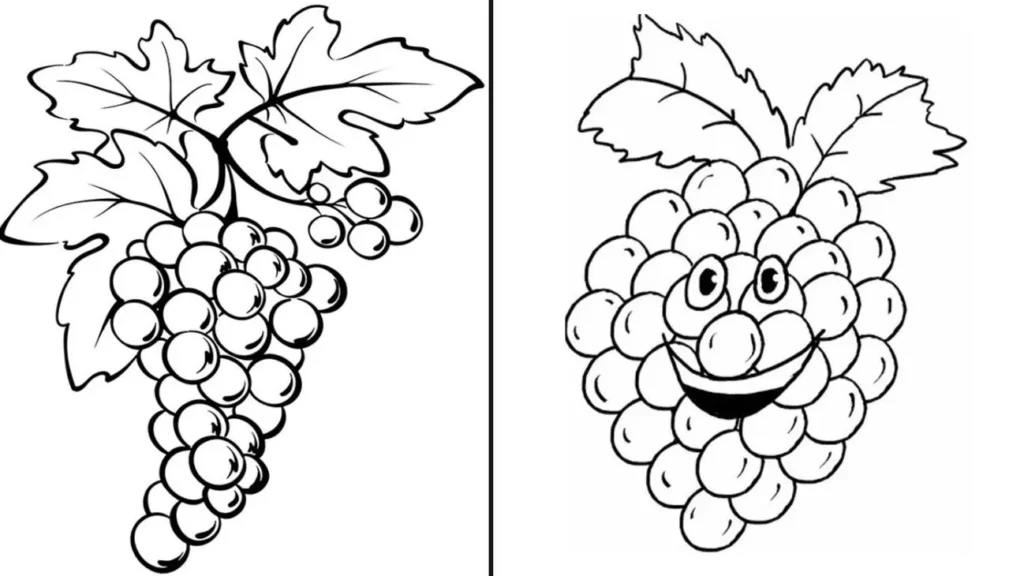 Desenho de dois cachos de uva para colorir: arte com uvas realistas e divertidas.