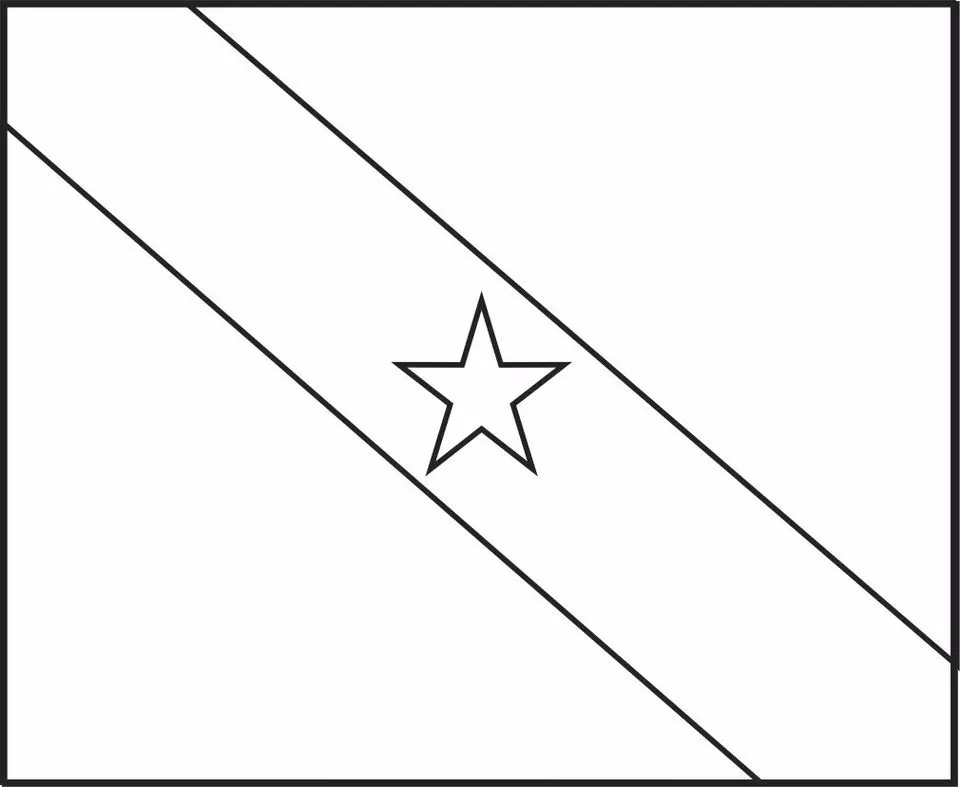 Bandeira do Pará para colorir: atividade criativa com o símbolo estadual.