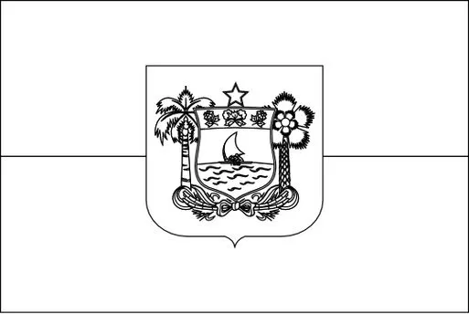 Bandeira do Rio Grande do Norte para colorir: desenho do estado nordestino.