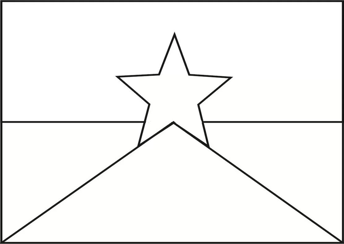 Bandeira de Rondônia para pintar: desenho do pavilhão estadual com estrela e faixas diagonais.