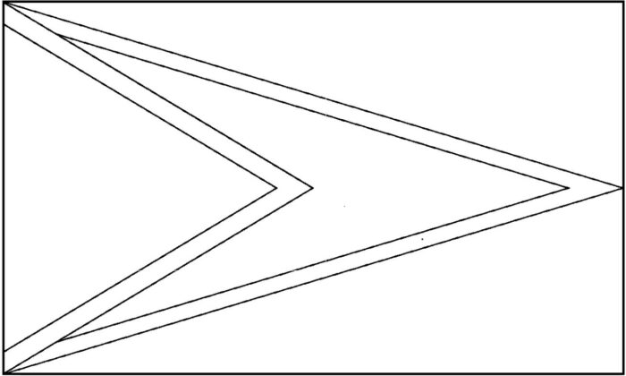 Bandeira da Guiana: desenho com formas geométricas e pontas de flecha.