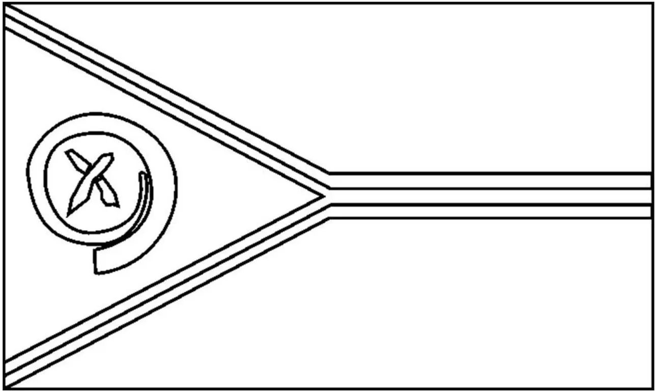 Bandeira de Vanuatu: descrição e elementos simbólicos.