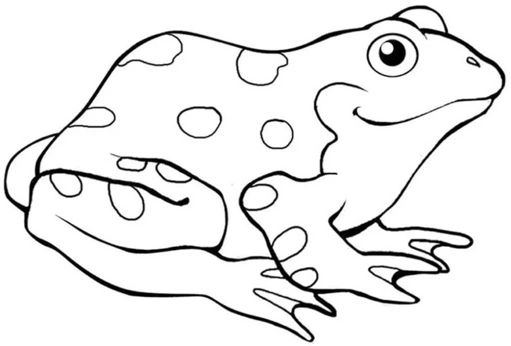 Desenhos de Sapos para pintar Sapo cururu Sapo cururu com manchas para colorir. Desenho de anfíbio sentado com expressão serena.
