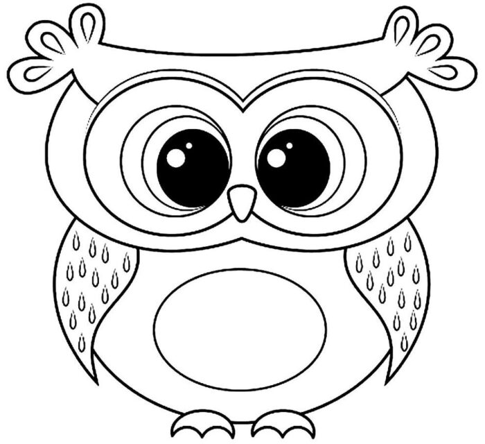 Coruja estilizada para colorir: Desenho com grandes olhos e detalhes nas penas.