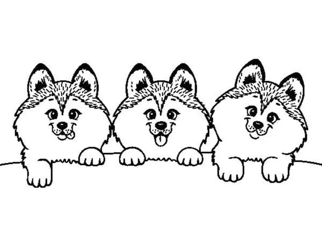 Três raposas kawaii para colorir: arte fofa e alegre