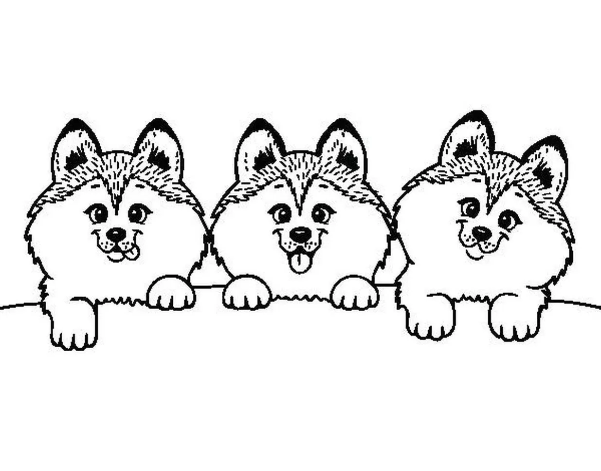 Kawaii de Animais para colorir - Desenhos Imprimir