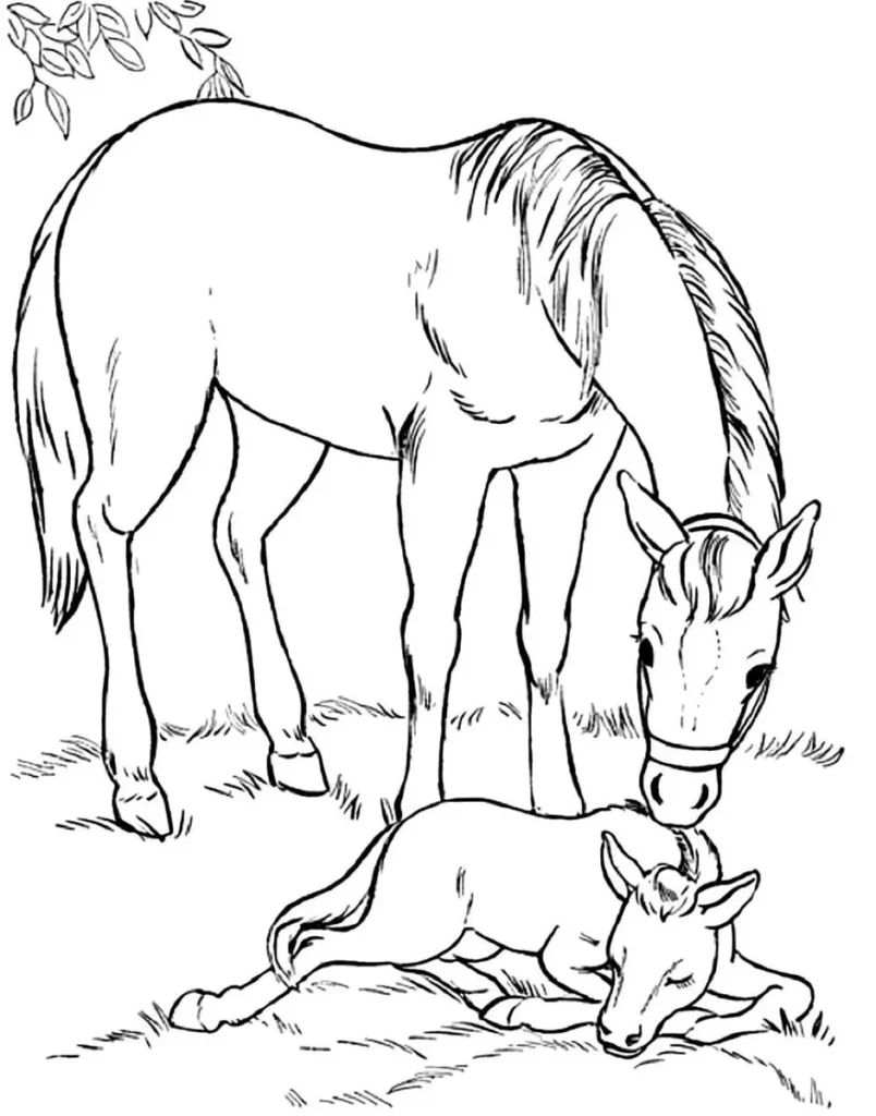 Desenho de cavalo e potro para colorir: momentos de carinho na fazendinha.