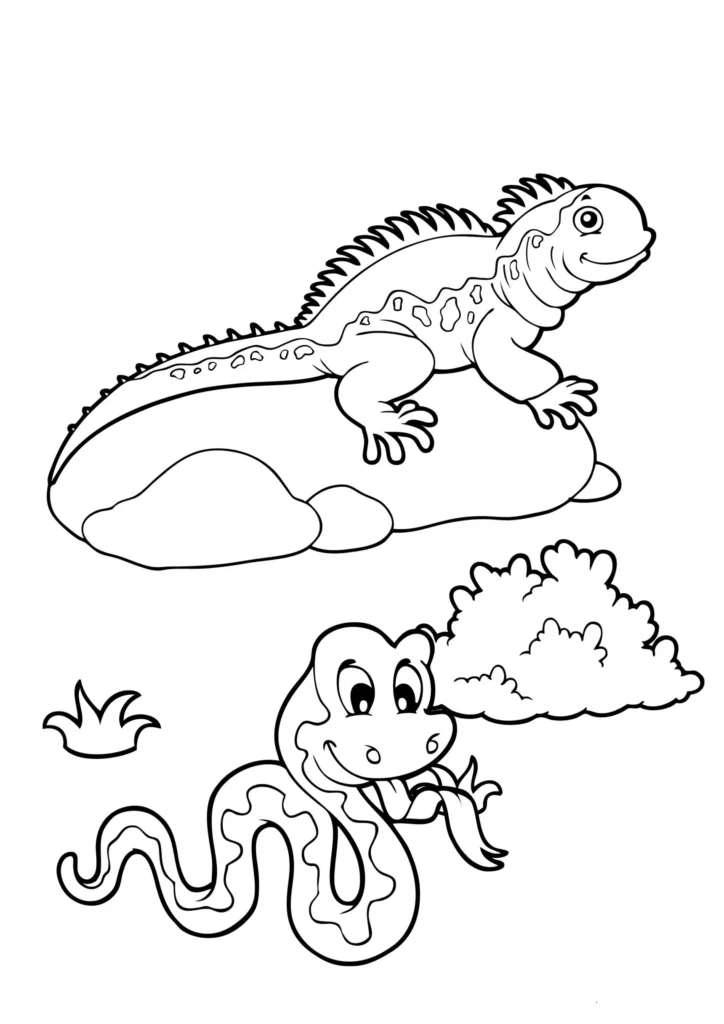 Desenhos de Cobras para colorir A Cobra e a Iguana Cobra e Iguana para colorir: Desenho artístico de répteis