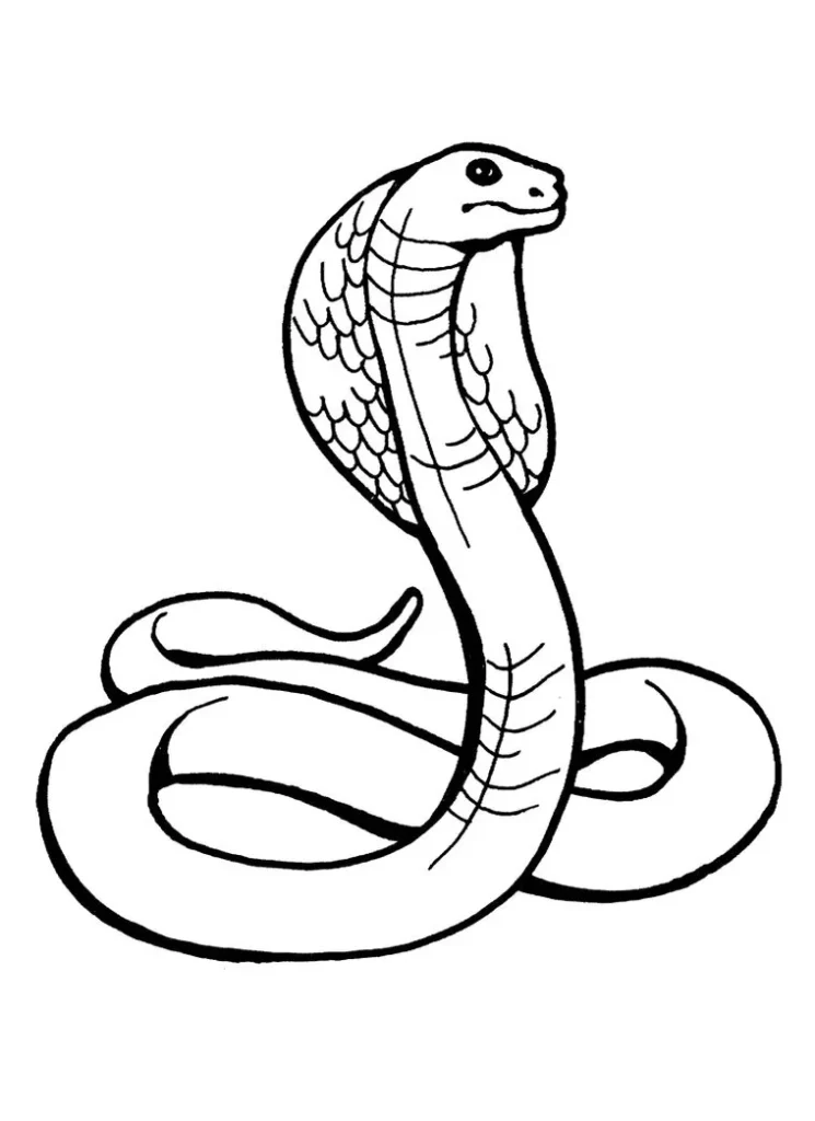 Desenhos de Cobras para colorir Naja Cobra Naja para colorir: Desenho detalhado de serpente com capelo expandido.
