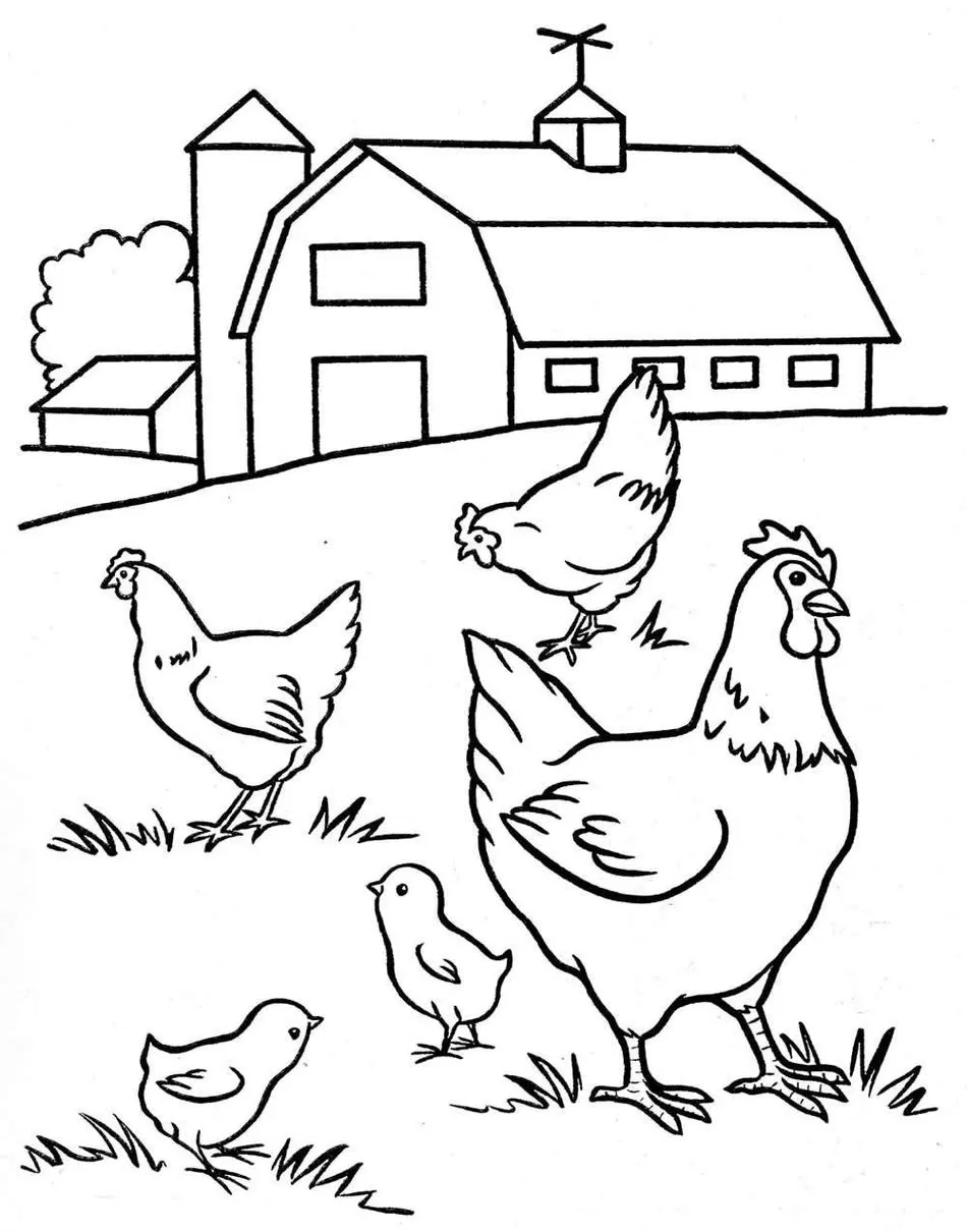 Galinhas e pintinhos na fazenda: desenhos para colorir com tema campestre.
