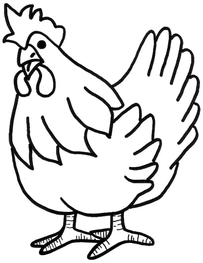 Galinha e Galo para Colorir: Desenho Detalhado com Crista e Barbela