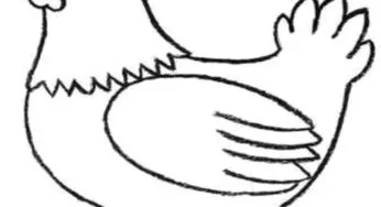 Desenhos de Galinhas para colorir
