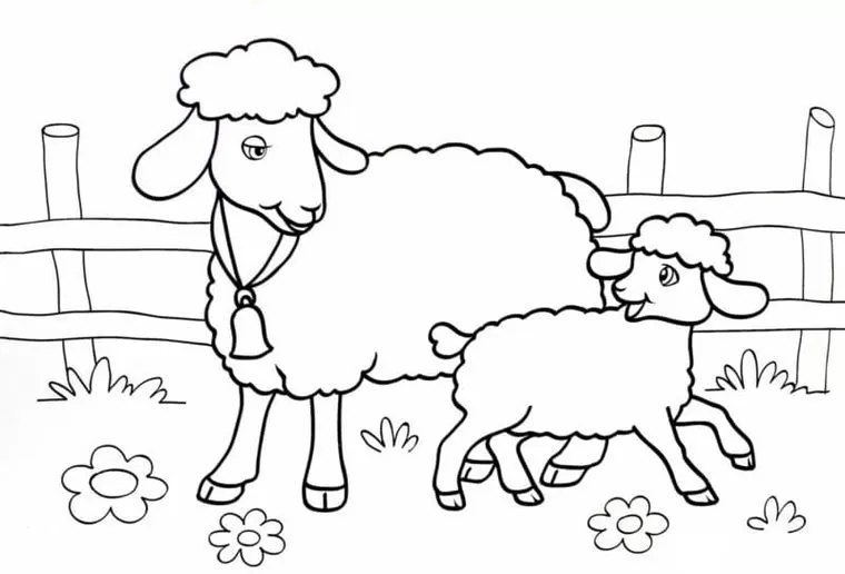 30 Desenhos de Ovelhas para Colorir e Pintar - Online Cursos