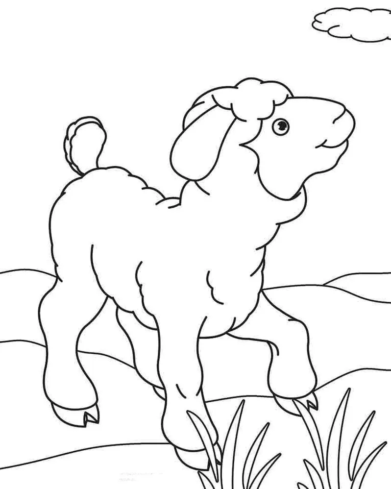 Desenhos de Ovelhas para colorir Olhando para o Céu Ovelhas olhando o céu: Desenho para colorir e estimular a criatividade