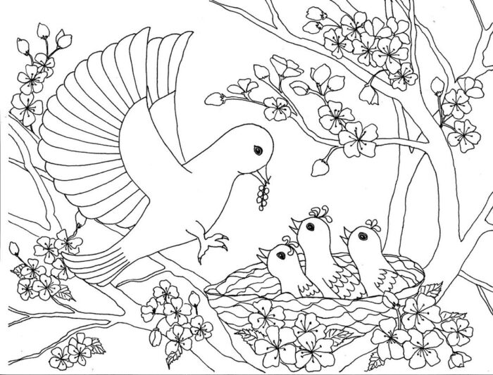 Desenhos de Pássaros para colorir Alimentando os Passarinhos Desenho de pássaro alimentando filhotes no ninho para colorir. Cena de primavera com flores e cuidado maternal.