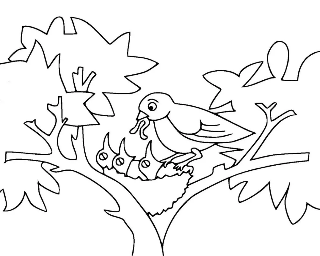 Desenhos de Pássaros para colorir Cuidando dos Filhotes Ave alimentando filhotes no ninho em desenho para colorir.