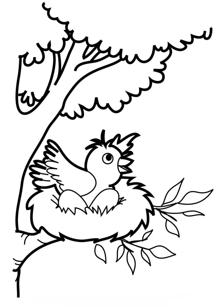 Desenhos de Pássaros para colorir No Ninho Pássaros no Ninho para Colorir: Desenho detalhado de um ninho com pássaros em uma árvore.