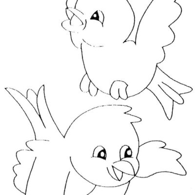 Desenhos de Pássaros para colorir - Desenhos Imprimir