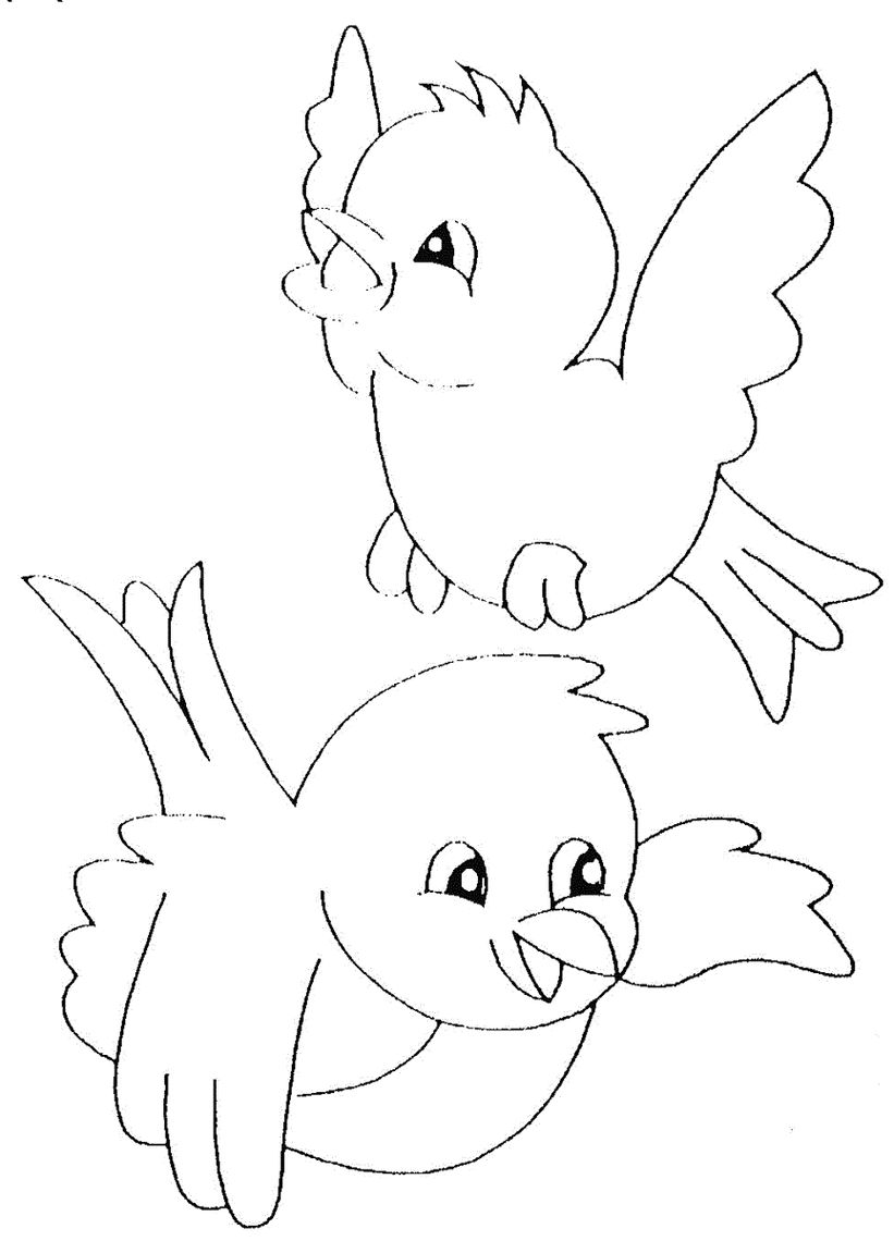 Desenhos de Pássaros para colorir - Desenhos Imprimir