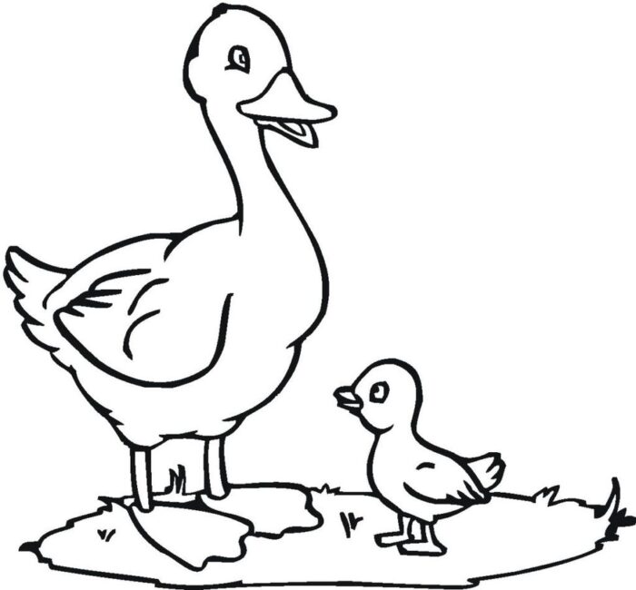 Desenhos de Patos para colorir Mae e Filho Desenho de patos para colorir: mamãe pata e filhote em cena campestre.