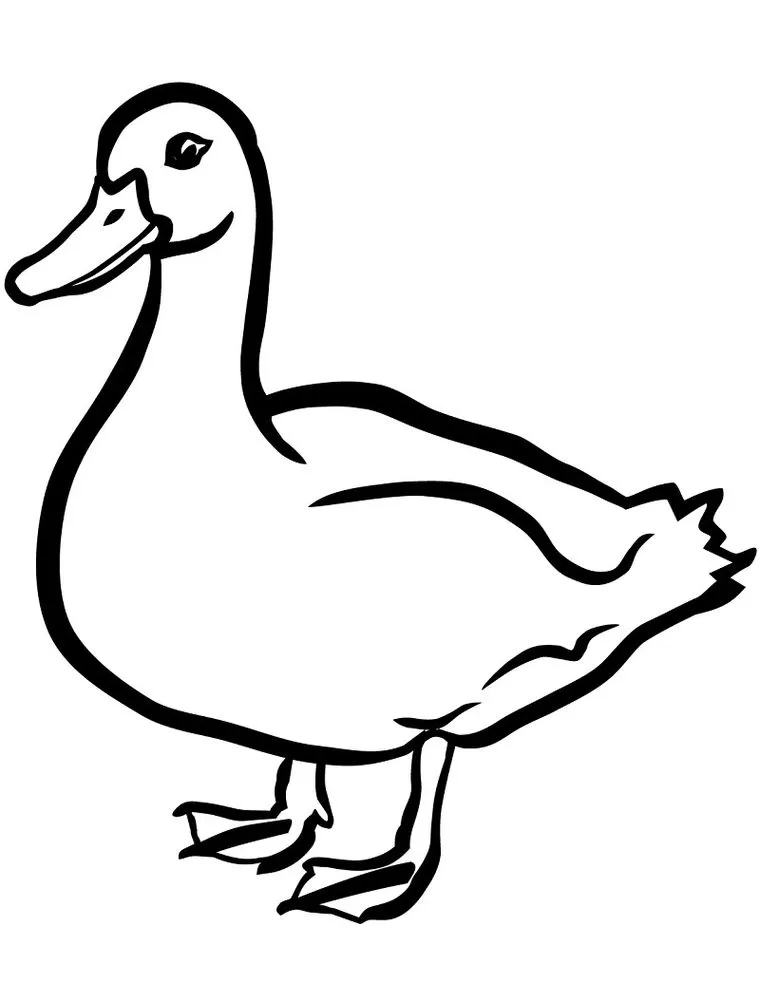 Desenhos de Patos para colorir Pato Pato para colorir: Desenho divertido com linhas marcantes.